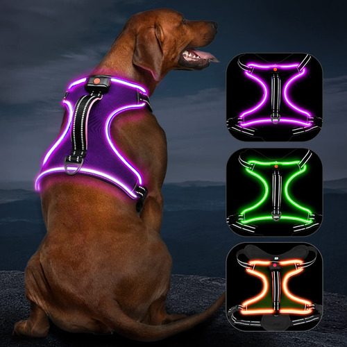 Vizbrite - Arns Para Perro Con Luz Led Sin Tirones Con Asa,