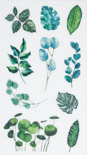 Conjunto de 6 modelos de adesivos de papel vegetal e de folhas