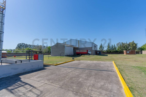 Imagen 13 de 30 de Venta - Galpon - Planta Industrial - Zarate