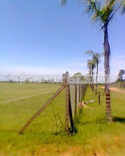 Imagem 2 de 12 de Terreno, 66000 M², Harmonia - 173430