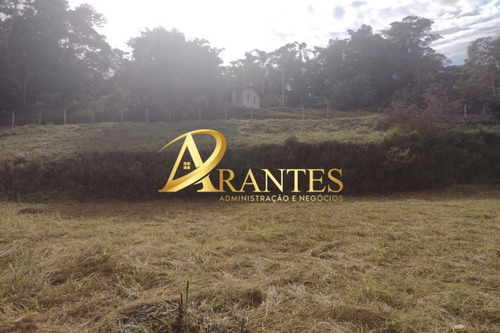 Imagem 8 de 14 de Terreno - Te00068 - 70716178