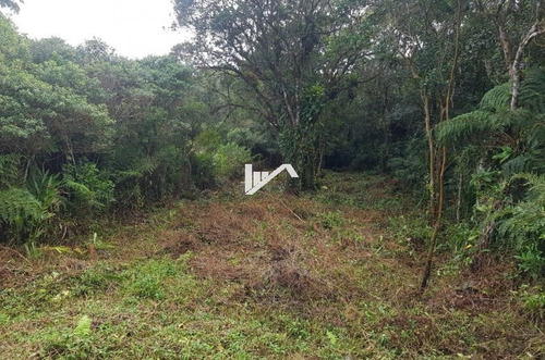 Imagem 4 de 4 de Terreno No Jardim Comendador Em Itanhaém