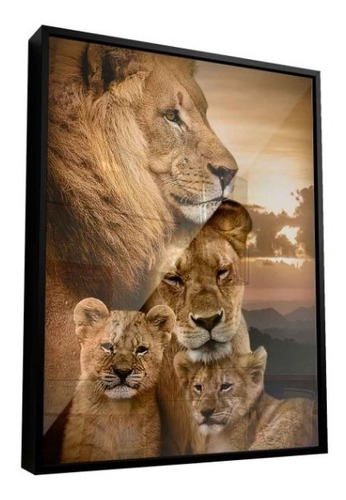 Quadro Família De Leões 122x92cm | Moldura Preta + Vidro Ar