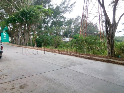 Imagen 4 de 12 de Terreno En Venta Petrolera