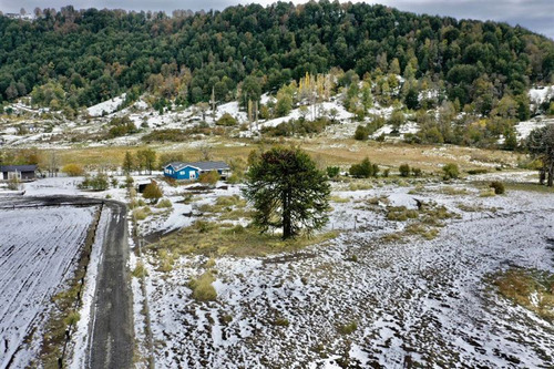 Terreno 5.000 M2 Sector Alto Centinela Orilla De Río Cautín