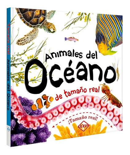 Libro Animales Del Oceáno De Tamaño Real Desplegables