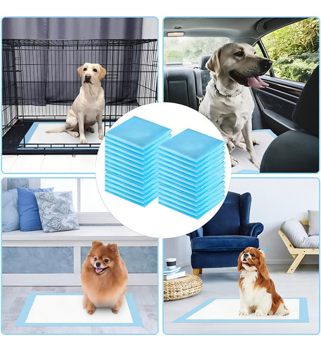 De 100 Pañales Tapete Trainer For Cão Almohadillas