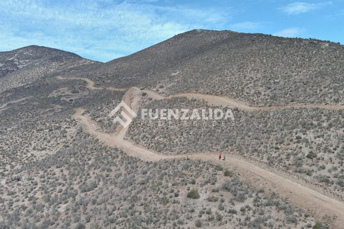 22 Parcelas De 5,000 M2 En Venta El Hinojal,valle De Elqui.