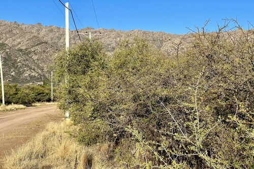 Imagen 11 de 13 de Lote En Cortaderas De 1500m2 - Loteo Zorzales Del Dique