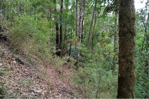 Venta Parcela Pucón Con Acceso A Rio Carhuello