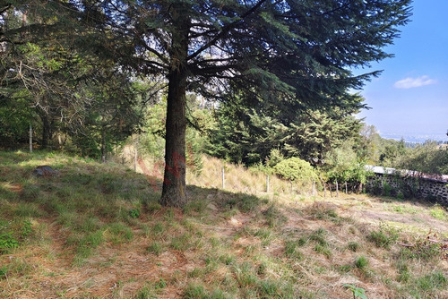 ¡invierte En Grande! Terreno Con Gran Potencial En El Corazón Del Ajusco: 2257 M2