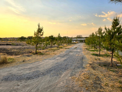 Oportunidad Macrolote En Venta - Inversionistas, Desarrolladores Inmobiliarios
