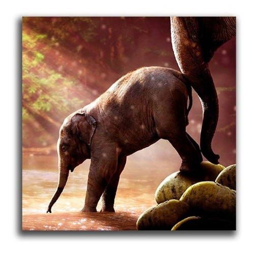 Cuadro Elefante Pequeño L