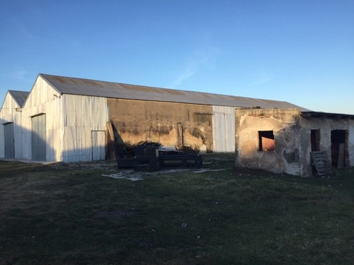 Imagen 6 de 14 de Campo Con Casas Y Galpones