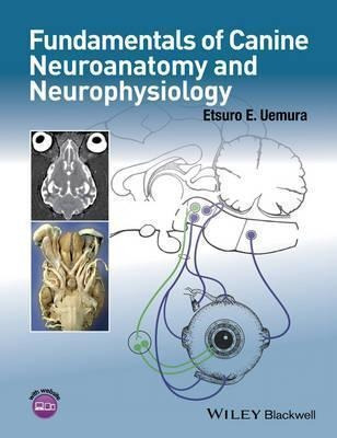 Fundamentals Of Canine Neuroanatomy And Neurophysiology -...
