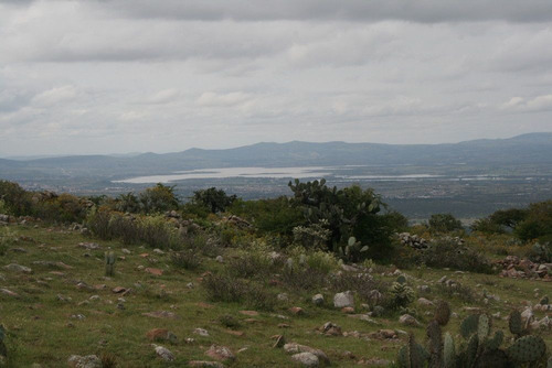 Imagen 7 de 30 de Terreno Campestre En Venta En Palo Colorado - San Miguel De