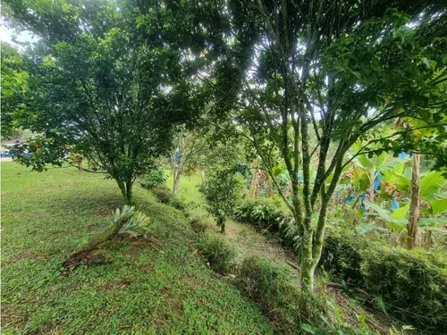 Finca De 3 Cuadras En Venta A 15 Minutos De Calarcá