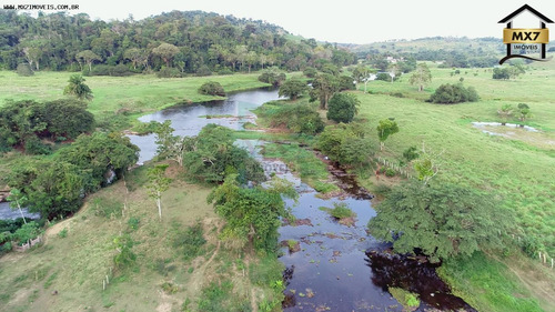 Imagem 2 de 15 de Fazenda Para Venda Em Gongogi, Zona Rural - 736_1-2090754