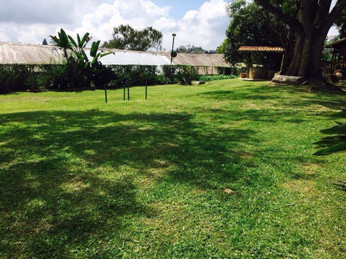 Imagen 15 de 23 de Finca Para Equitación. Miranda, San Antonio De Los Altos.