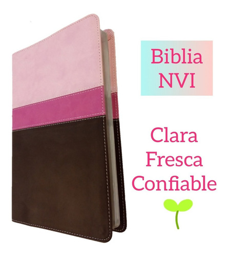 Biblia Héroes Nueva Versión Internacional