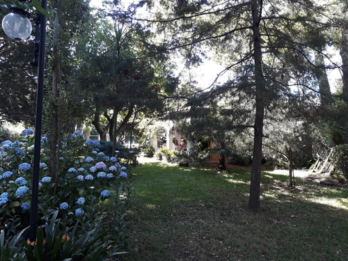 Imagen 2 de 14 de Casa Quinta O Vivienda Permanente Muy Buena Zona C/vecindad