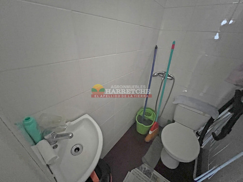 Apartamento En Venta 4 Dormitorios 3 Baños, Punta Carreta