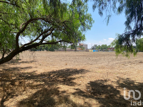 Venta Terreno 0 Ambiente San Andrés Jaltenco