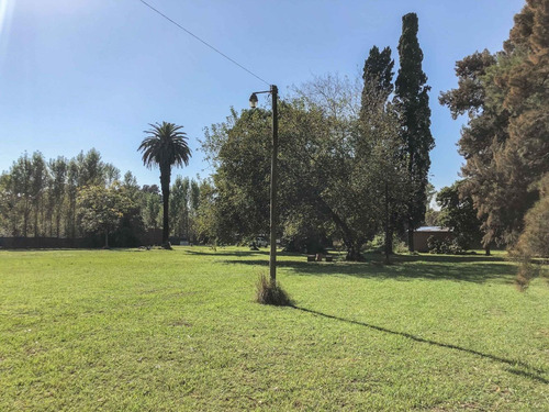 Imagen 12 de 15 de Venta Hermosa Quinta Sobre Amplio Lote En Chacras De Canning