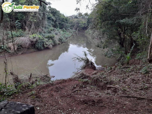 Imagem 4 de 12 de Fazenda À Venda Em Nioaque - Ms - 126 Hectares - (dupla Aptidão) - 2131