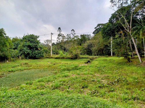 Imagem 19 de 20 de Chácara Com Lago Pomar 14.000 M² Internet Instalada