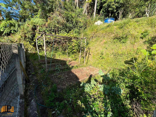 Imagem 20 de 30 de Chácara Residencial À Venda À 600 Metros Da Rodovia Regis Bittencourt Bairro Vargedo - São Lourenço Da Serra/sp - Ch07802 - 71030742