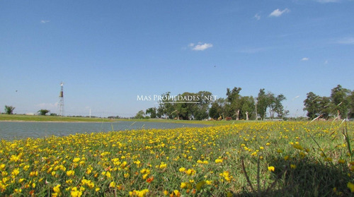 Imagen 10 de 20 de Lote A La Laguna En San Lucas Canning