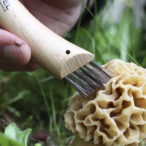 Opinel No.8 - Cuchillo Plegable De Hongos - Cuchillo De Forr