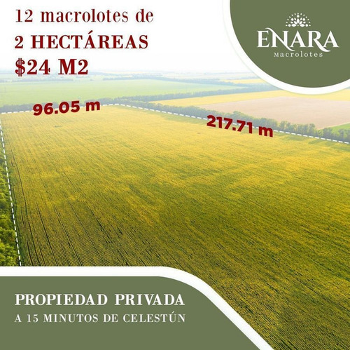 Imagen 1 de 7 de Venta De Macrolotes | Enara | Celestun