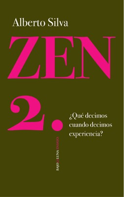 Zen 2 - ¿qué Decimos Cuando Decimos Experiencia? - Silva