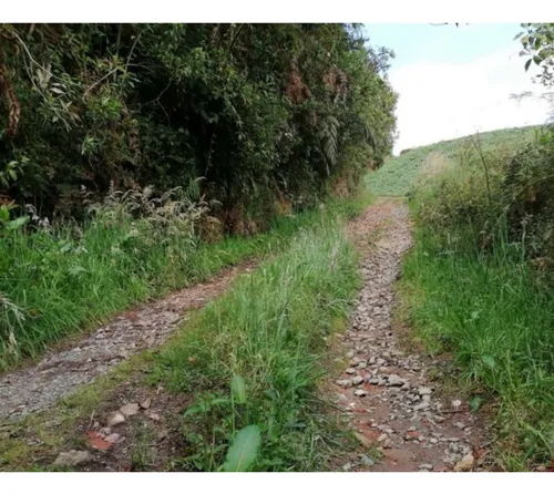 Hermosa Finca En Venta En El Municipio De La Unión Antioquia ~