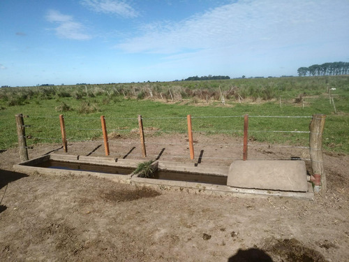 Campo Mixto En Chascomús - Permuta En La Plata