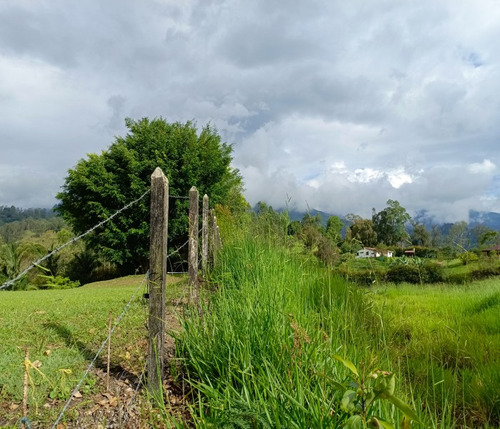 Venta O Permuta Lote Campestre De 9006 M2 En Venta En Pacho Clima Templado Ideal Para Construir La Casa Soñada O Proyecto Familiar