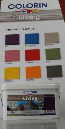  Latex Exterior Colorin Living Frentes Colores X 4 Lt - Ani 