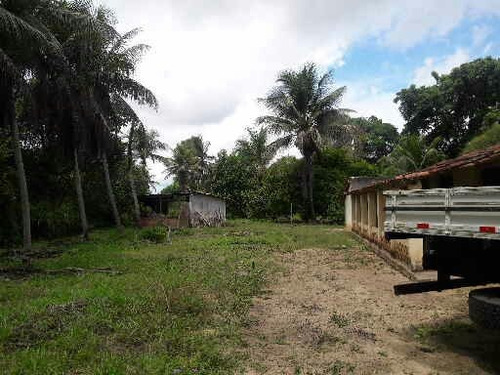 Imagem 9 de 14 de Chácara Br 324 15km De Feira De Santana Próxi Posto São Luis