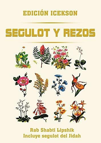 Segulot y Rezos, de Shabti Lipshik. Editorial WWW Bnpublishing com, tapa blanda en español, 2020