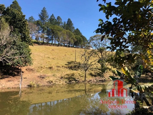 Imagem 19 de 27 de Sítio Sítio À Venda - 1276