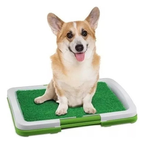 Baño Ecologico Para Perros Y Mascotas Puppy Potty Pad 47x34 