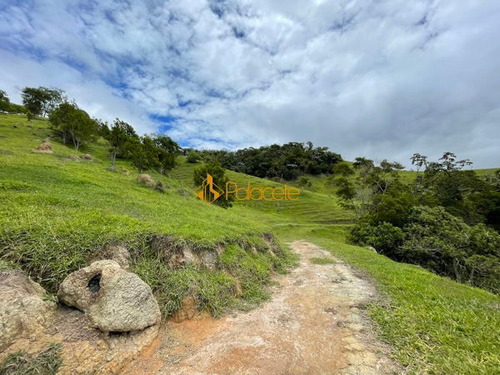 Imagem 12 de 16 de Rural Comercial - 366000-v