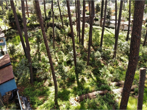 Terreno En Venta, Zona Avandaro