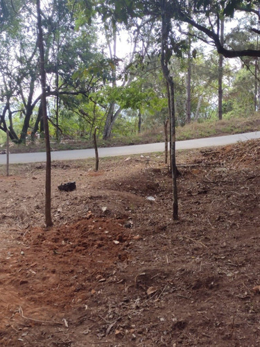 Imagem 5 de 14 de D20- Lotes Em Santa Isabel 1.000m2 Apenas 60mil A Vista