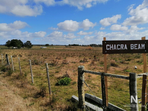 Chacra En Venta, Guardia Vieja 