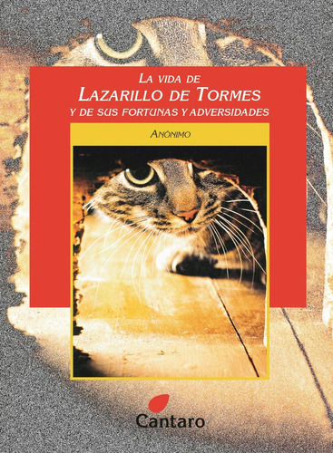 Vida De Lazarillo De Tormes Y De Sus Fortunas Y Adversidades