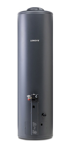 Cu - Termotanque A Gas Longvie 132 Litros Tp600ap-n