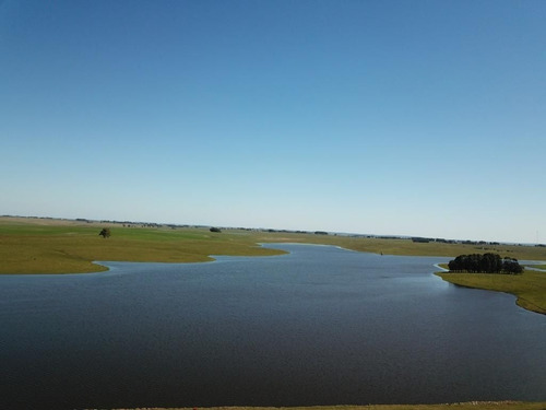 Imagem 16 de 16 de Fazenda 928 Alqueires, Rica Em Água Com Represas, 261 Hectares Em Lavoura, 1895 Hectares Em Pastagem, Pivô, Casas Sede E Funcioarios, Curral - Fa00194 - 70582923